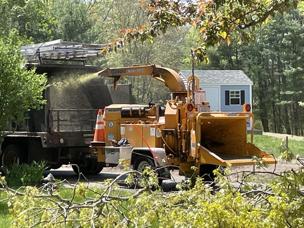 Cutler Tree - tree service in Dover, MA