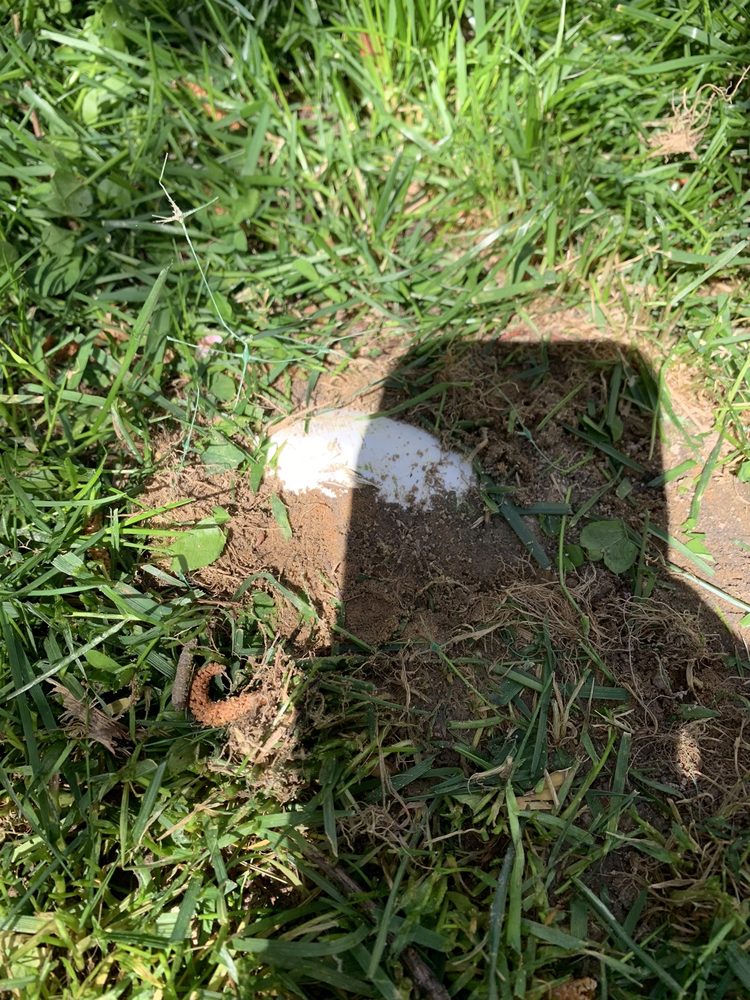 Slide of Outdoor Drainage Solutions