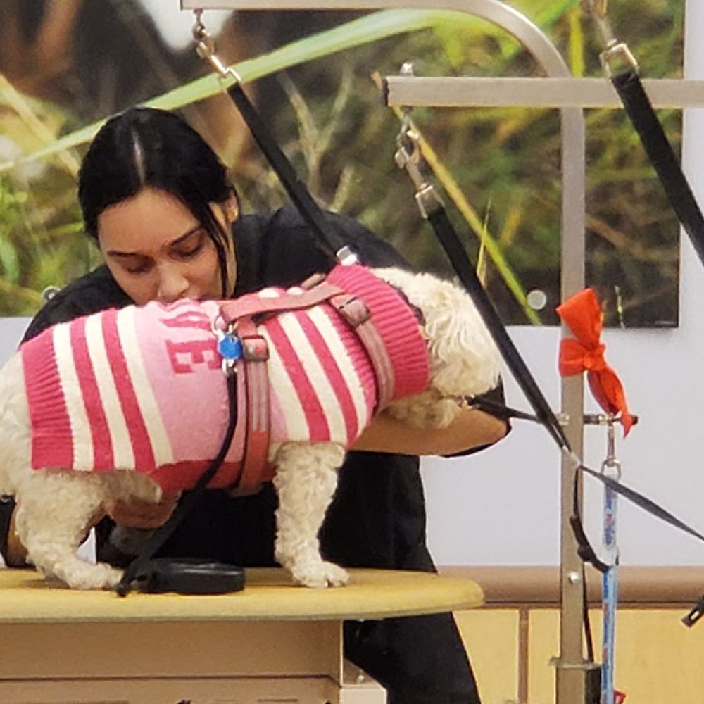 Minna getting her nails clipped & ground.