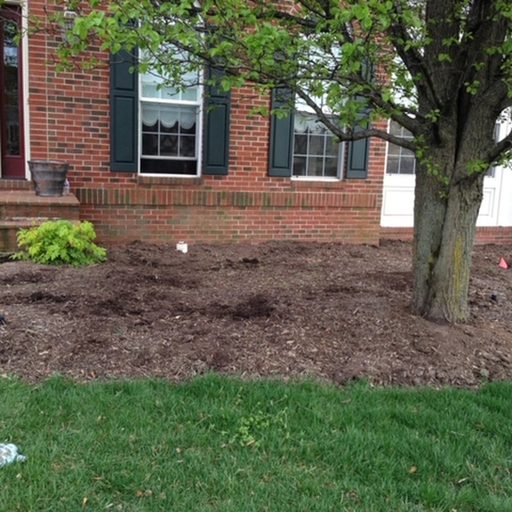Cassella Design & Build - Front side after old shrubs removed. - Landscaping Near Me - Springfield, Virginia Cassella Design & Build - Front side after old shrubs removed. - Landscaping Near Me - Springfield, Virginia