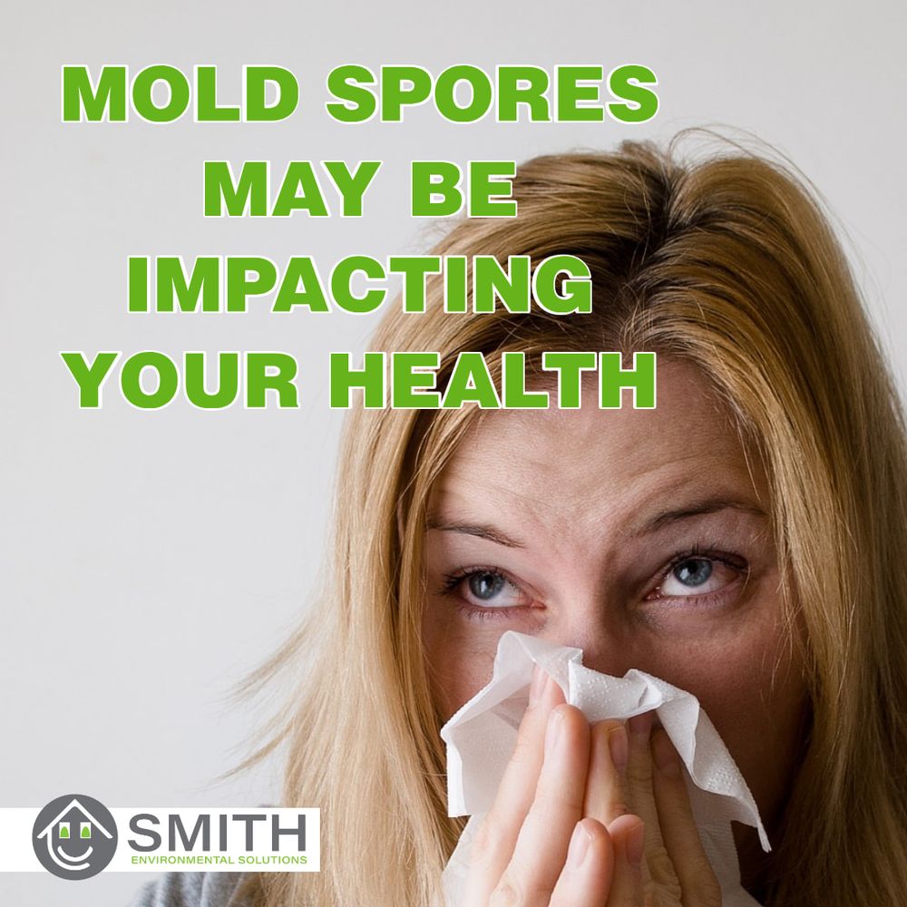 Smith Environmental Solutions - mold inspector in Salisbury, NC