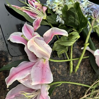 Blossom and Basket Boutique - Horrible - Florists Near Me - Mount Airy, Maryland Blossom and Basket Boutique - Horrible - Florists Near Me - Mount Airy, Maryland
