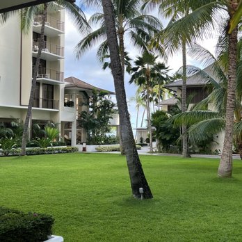 Halekulani Hotel - Lush garden, great wedding ceremony venue - Hotels Near Me - Honolulu, Hawaii Halekulani Hotel - Lush garden, great wedding ceremony venue - Hotels Near Me - Honolulu, Hawaii