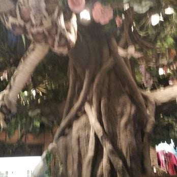 Rainforest Cafe - Tree - American Near Me - Atlantic City, New Jersey Rainforest Cafe - Tree - American Near Me - Atlantic City, New Jersey