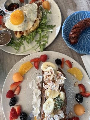 Peacock Pansy by null