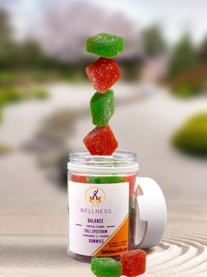 The Wellness Experience