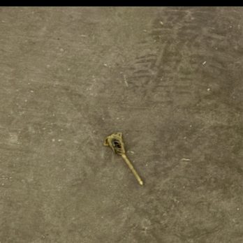 Stratton Vantage Property Management - A small, yellowish object that looks like a key is on a concrete floor, with faint markings and a rough texture. - Property Management Near Me - Mesa, Arizona