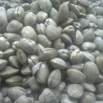 CTN LLC Seafood Fruit Season - Manila clams - Seafood Markets Near Me - Honolulu, Hawaii CTN LLC Seafood Fruit Season - Manila clams - Seafood Markets Near Me - Honolulu, Hawaii