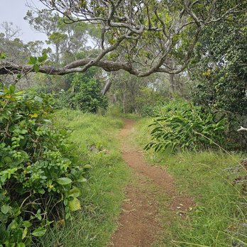 Waimea Canyon Lookout - Hiking Near Me