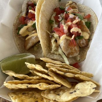 What The Fish Rolls - Fish tacos (Mahi) - Seafood Near Me - Tavernier, Florida What The Fish Rolls - Fish tacos (Mahi) - Seafood Near Me - Tavernier, Florida