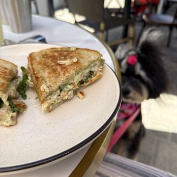 Brass Bird - Chicken sandwich, dog friendly spot , my dog is wondering why didn't I buy a treat for her - Breakfast & Brunch Near Me - Santa Barbara, California