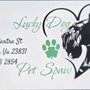 Lucky Dog Pet Spaw