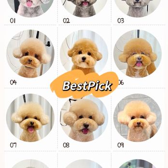 PetzCharm - Pet Groomers Near Me - Falls Church, Virginia PetzCharm - Pet Groomers Near Me - Falls Church, Virginia