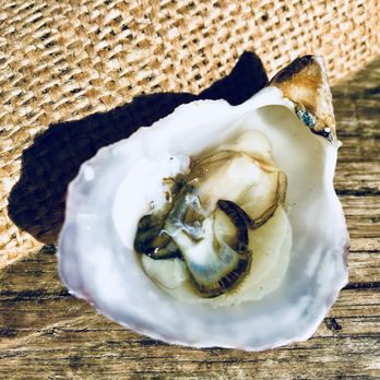 Hog Island Oyster - Humboldt Bay shucked oyster. - Seafood Near Me - Marshall, California
