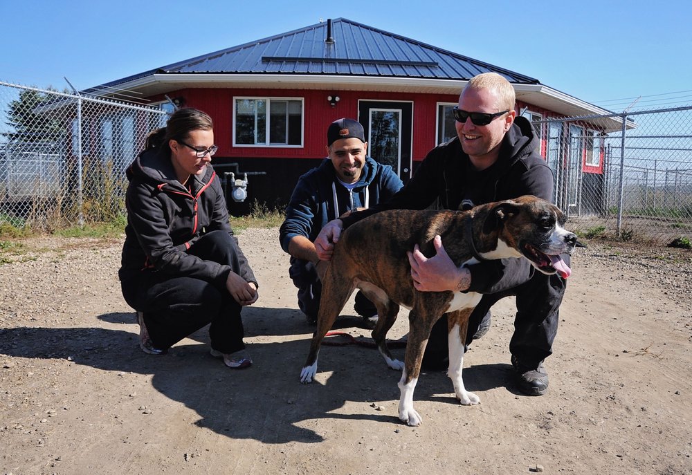 780 KENNELS Updated May 2024 38 Photos & 13 Reviews 51227 Range