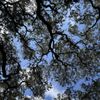 OP Schnabel Park gift card