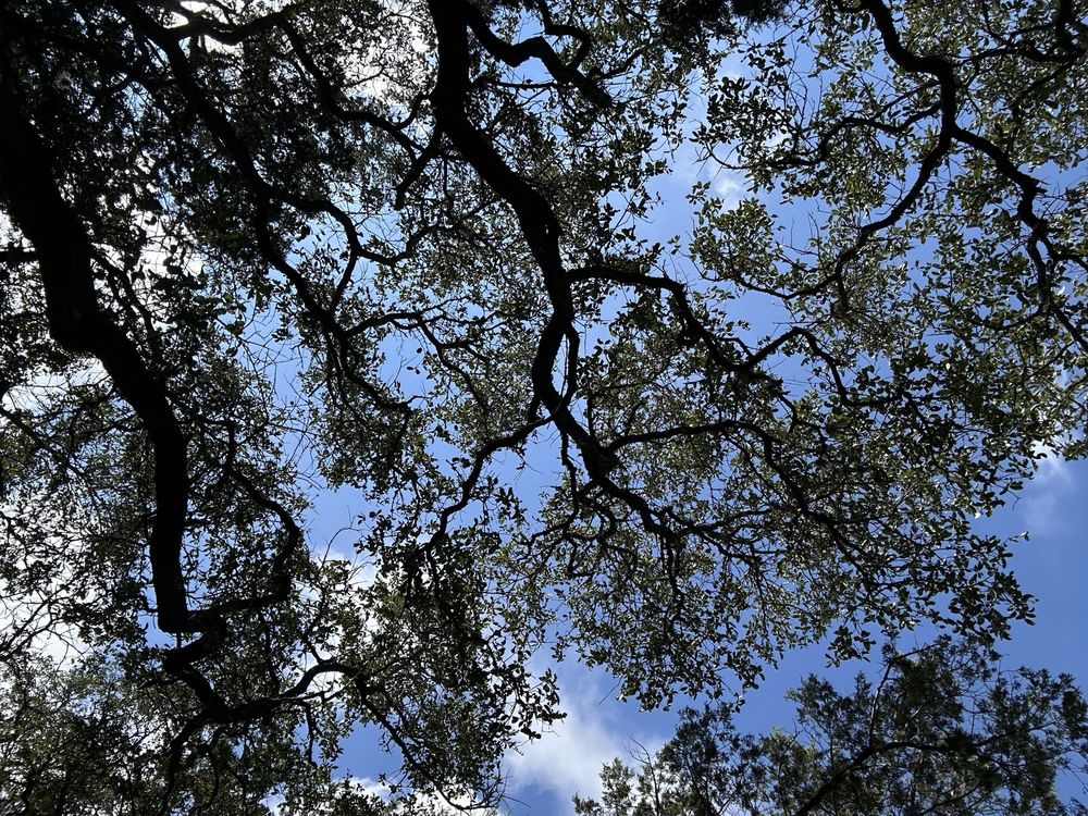 OP Schnabel Park Image