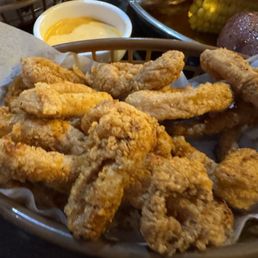 Fried Calamari