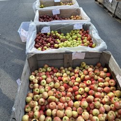Division Street Farmers Market - Division Street Farmers Market in Chicago, Illinois