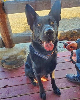 Bunkhouse Restaurant by null