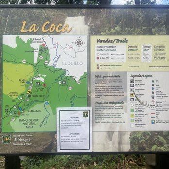 El Yunque Rainforest - La Coca trailhead - Hiking Near Me - Luquillo, Puerto Rico El Yunque Rainforest - La Coca trailhead - Hiking Near Me - Luquillo, Puerto Rico