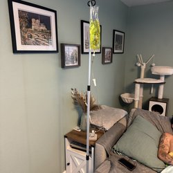 Azalea Health and Wellness