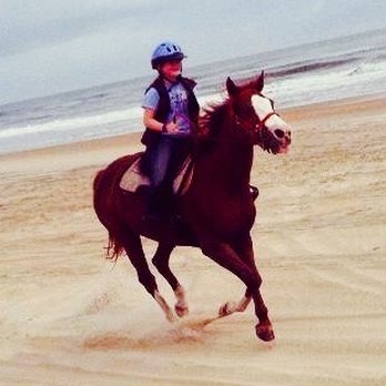 Equine Adventures - Horseback Riding Near Me - Buxton, North Carolina