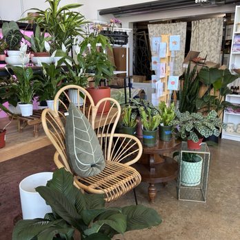 Bloomsgiving - Inside - Florists Near Me - Mountain View, California