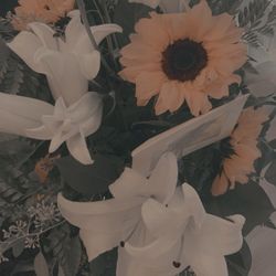 Hood's Florist & Gifts - Photo of floral arrangement with lilies and sunflowers.