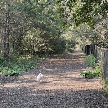 Dakota Woods Dog Park - Dog Parks Near Me - Rosemount, Minnesota Dakota Woods Dog Park - Dog Parks Near Me - Rosemount, Minnesota