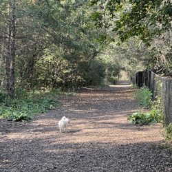 Dakota Woods Dog Park