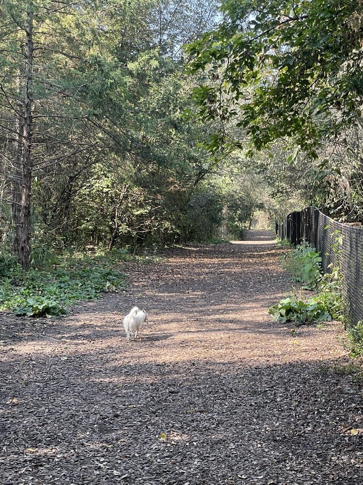 Dakota Woods Dog Park Logo