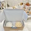 Frosted Cupcakery gift card