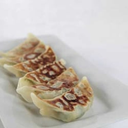 KYO - Gyoza