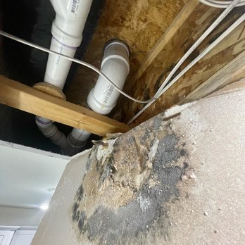 Steam Machine Carpet Cleaning - Home Cleaning Near Me - Raleigh, North Carolina Steam Machine Carpet Cleaning - Home Cleaning Near Me - Raleigh, North Carolina