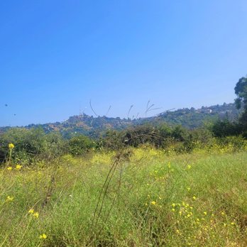 Wilacre Park - Gracious views - Parks Near Me - Studio City, California