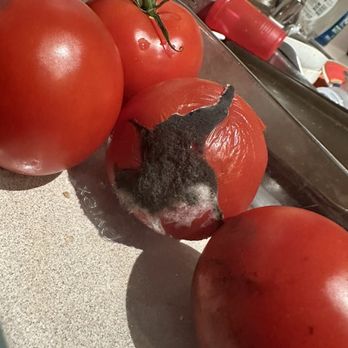 Walmart Supercenter - Moldy tomatoes - Department Stores Near Me - Bernalillo, New Mexico