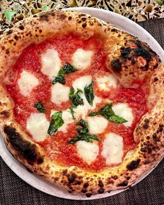 figidini by null