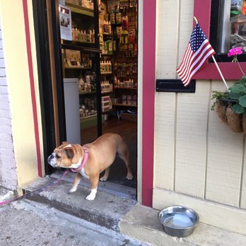 Cornerstone Pets - Pet Stores Near Me - Hoboken, New Jersey