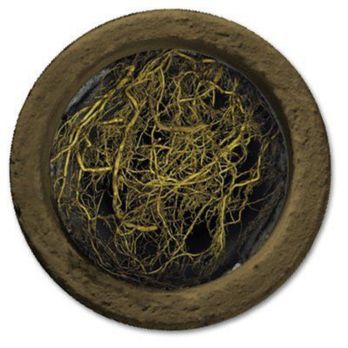 1. Calamity Drain