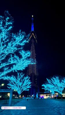 Fukuoka Tower by null