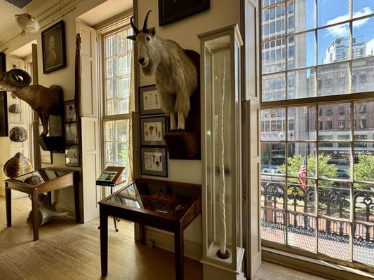 Connecticut's Old State House by null