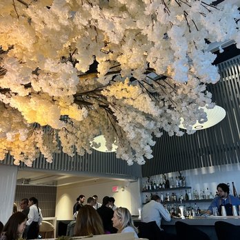 Janken - cherry blossom - Japanese Near Me - Portland, Oregon