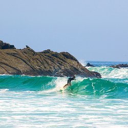 CoastalDigs