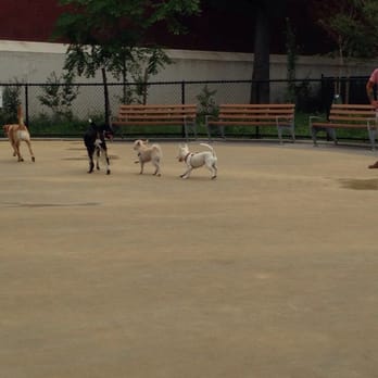 Lou Lodati Park - Dogs running - Playgrounds Near Me - Sunnyside, New York Lou Lodati Park - Dogs running - Playgrounds Near Me - Sunnyside, New York