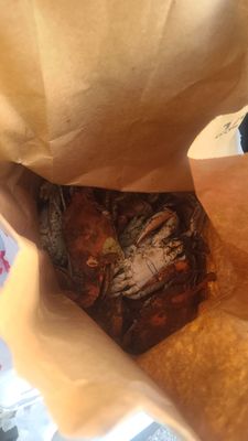 Kent Island Crab Co by null