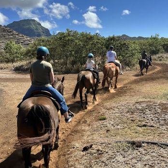 CJM Stables - Horseback Riding Near Me