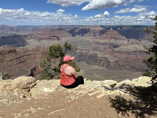 Mather Point by null