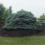 Palmer Nursery