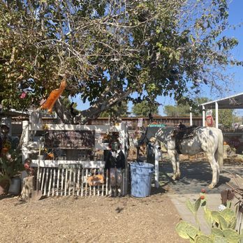 McKee Ranch - Horse you're able to ride - Ranches Near Me - Las Vegas, Nevada McKee Ranch - Horse you're able to ride - Ranches Near Me - Las Vegas, Nevada